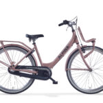 Alpina Clubb Kinderfiets 24 inch - Desert Pink Matte