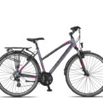 Altec Legarda (CT) V-Brakes Damesfiets 28 inch 49 cm Antraciet-pink