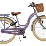 Volare Blossom Kinderfiets 24 inch Meisjesfiets Roze Twee Handremmen
