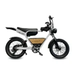 Diablo Q6 Elektrische Fatbike 20 inch 7 speed