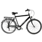 Wheelerz Herenfiets 28 inch 6 speed